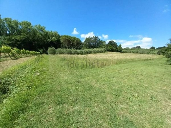 terreno agricolo in vendita a Collesalvetti in zona Castell'Anselmo