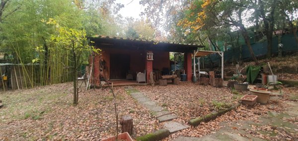 terreno agricolo in vendita a Livorno in zona Lazzaretto