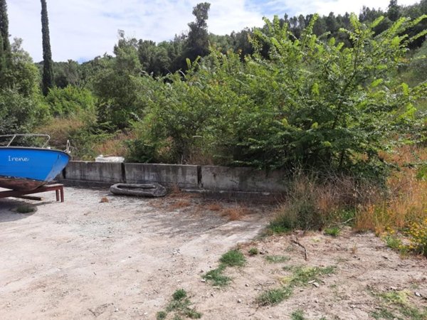 terreno agricolo in vendita a Livorno in zona Collinaia