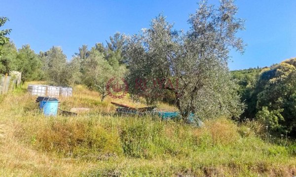 terreno agricolo in vendita a Livorno in zona Limoncino