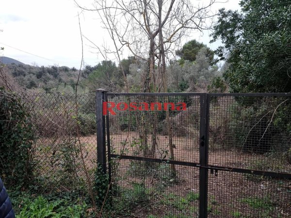 terreno agricolo in vendita a Livorno in zona Stillo