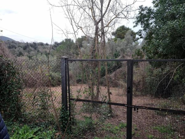 terreno agricolo in vendita a Livorno in zona Limoncino