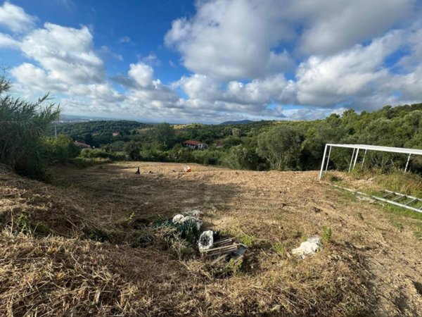 terreno agricolo in vendita a Livorno in zona Montenero
