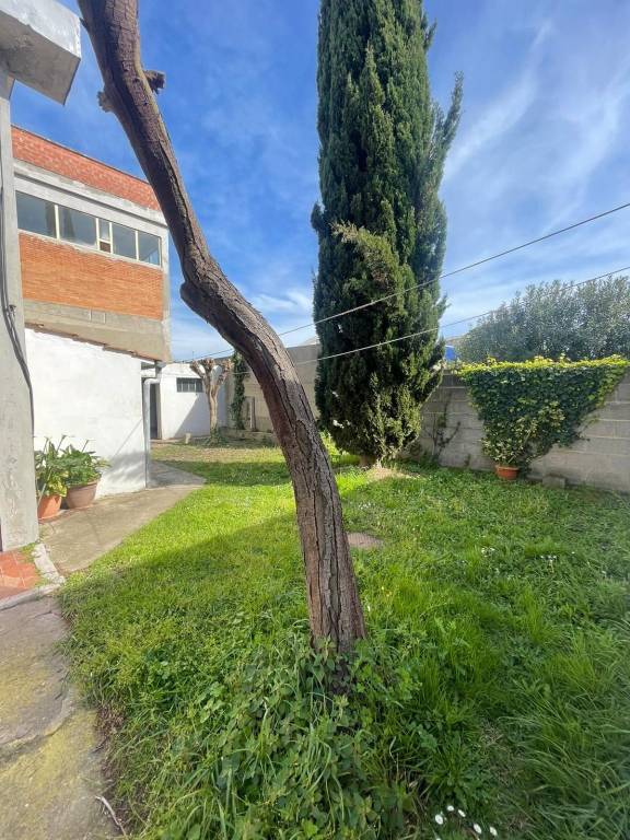 appartamento in vendita a Livorno