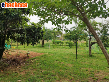 terreno agricolo in vendita a Livorno in zona Centro Città