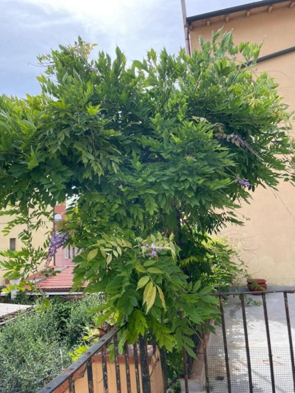 appartamento in vendita a Livorno