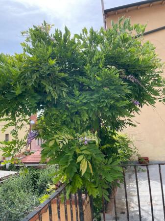 appartamento in vendita a Livorno