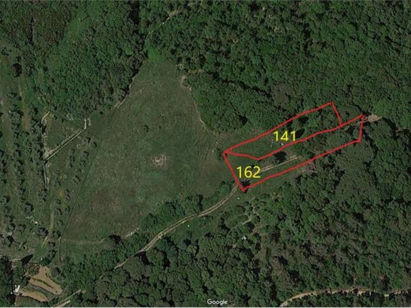terreno agricolo in vendita a Livorno in zona Limoncino