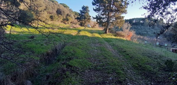 terreno agricolo in vendita a Livorno in zona Limoncino
