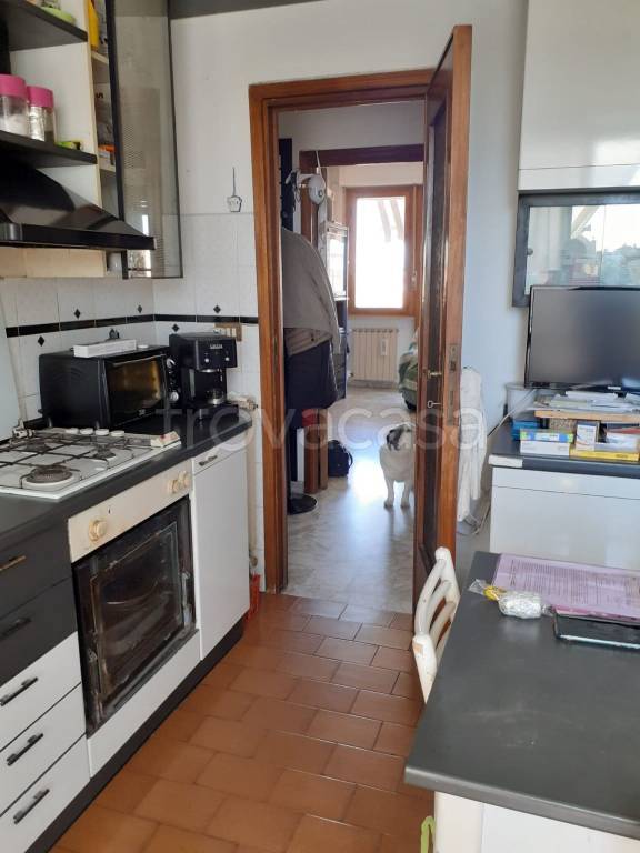 appartamento in vendita a Livorno