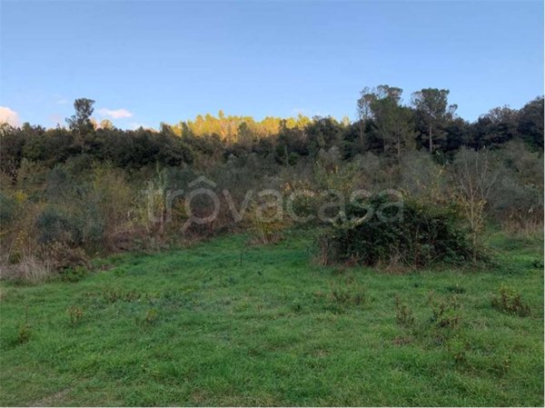 terreno agricolo in vendita a Livorno in zona Collinaia