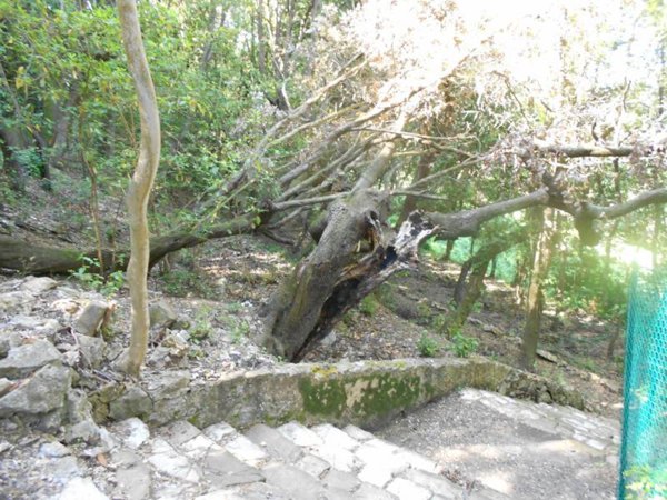 terreno edificabile in vendita a Livorno in zona Montenero