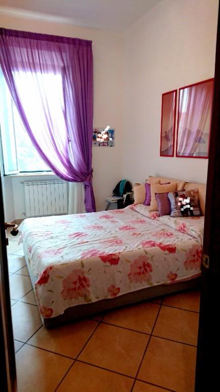 appartamento in vendita a Livorno