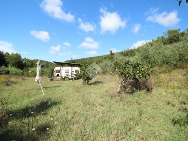 terreno agricolo in vendita a Livorno in zona La Leccia