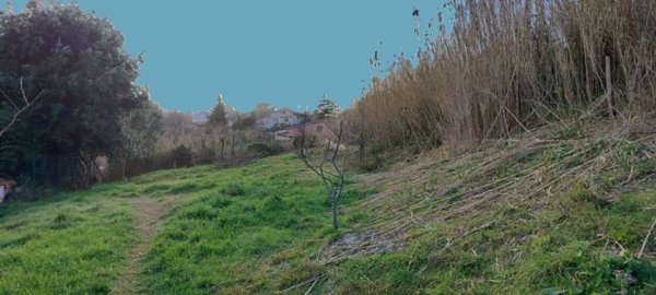 terreno agricolo in vendita a Livorno in zona Montenero