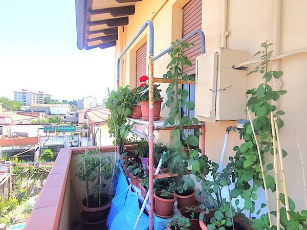 appartamento in vendita a Livorno
