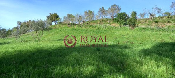 terreno agricolo in vendita a Livorno in zona Montenero