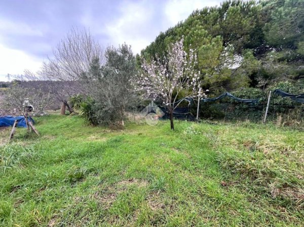 terreno agricolo in vendita a Livorno in zona Limoncino