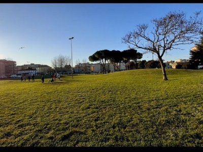 appartamento in vendita a Livorno