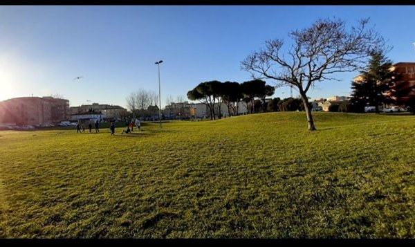 appartamento in vendita a Livorno