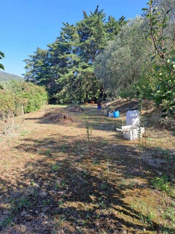 terreno agricolo in vendita a Livorno in zona Limoncino