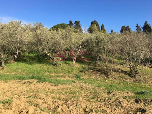 terreno agricolo in vendita a Livorno in zona Stillo