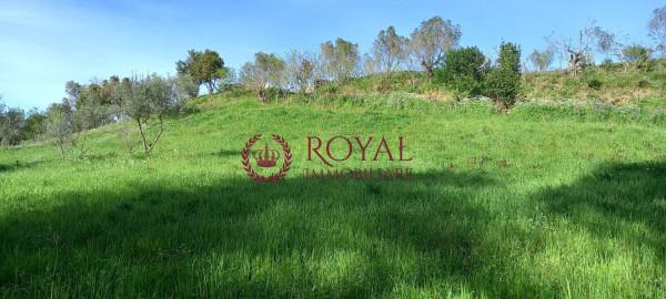 terreno agricolo in vendita a Livorno in zona Stillo