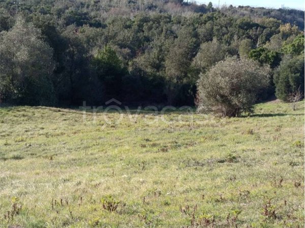 terreno agricolo in vendita a Livorno in zona Valle Benedetta