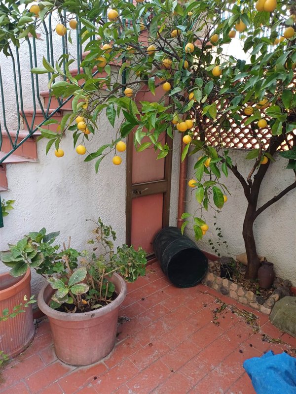 appartamento in vendita a Livorno