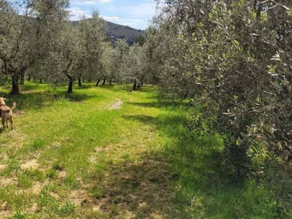 terreno agricolo in vendita a Livorno in zona Stillo
