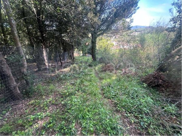 terreno agricolo in vendita a Livorno in zona Montenero