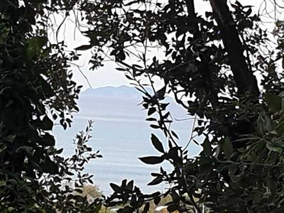 casa indipendente in vendita a Livorno in zona Montenero