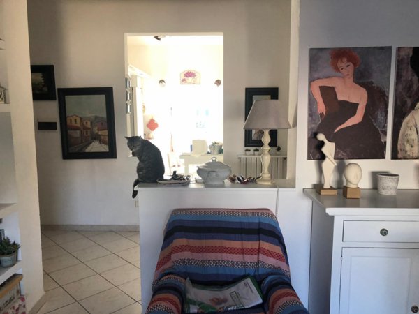 appartamento in vendita a Livorno