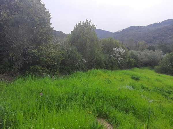 terreno agricolo in vendita a Livorno in zona Limoncino
