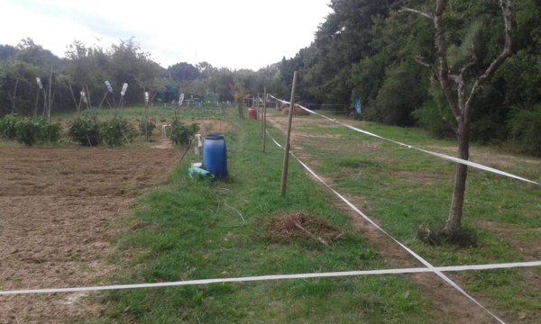 terreno agricolo in vendita a Livorno
