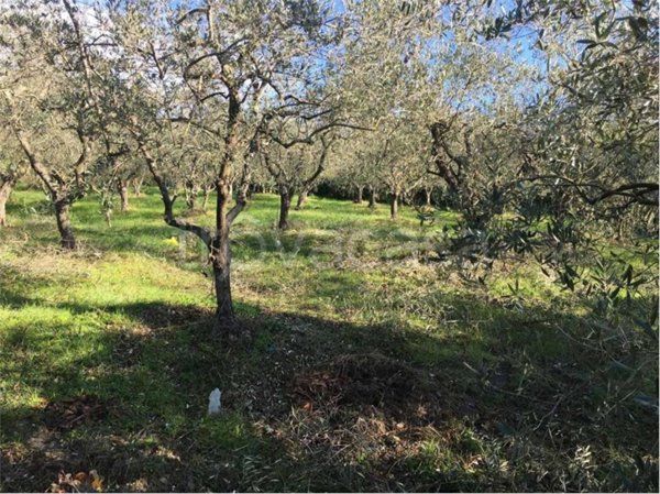 terreno agricolo in vendita a Livorno in zona Limoncino