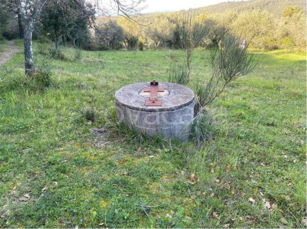 terreno agricolo in vendita a Livorno in zona Collinaia