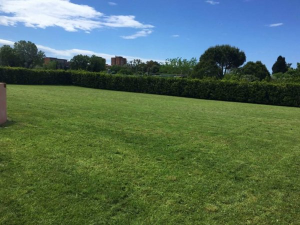 terreno agricolo in vendita a Livorno in zona Padula