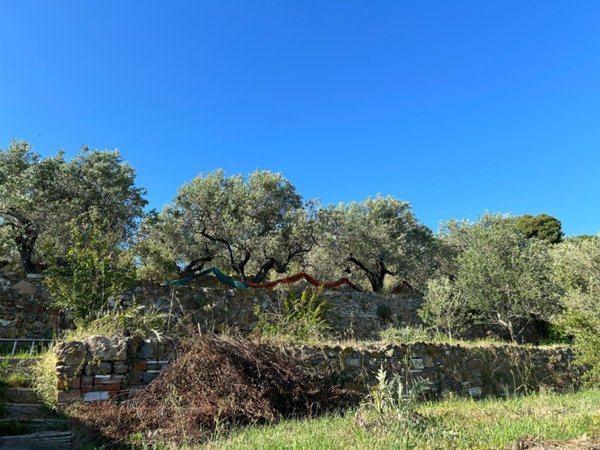 terreno agricolo in vendita a Livorno in zona La Leccia