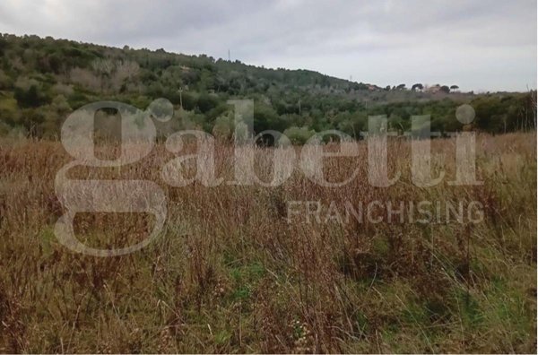 terreno agricolo in vendita a Livorno in zona Stillo