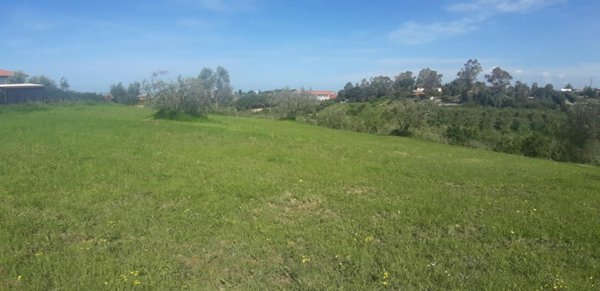 terreno agricolo in vendita a Livorno in zona Stillo