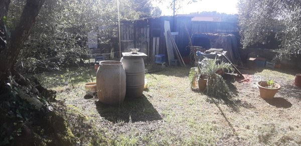terreno agricolo in vendita a Livorno in zona Limoncino