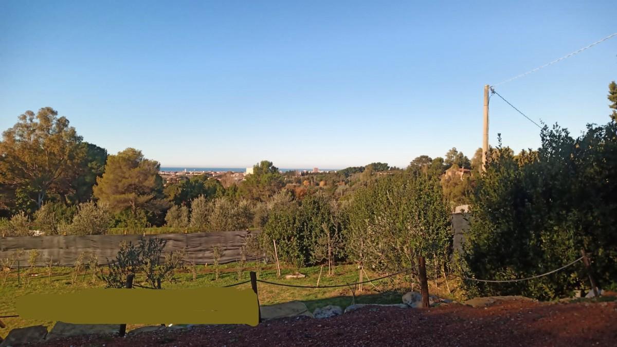 terreno agricolo in vendita a Livorno in zona Stillo