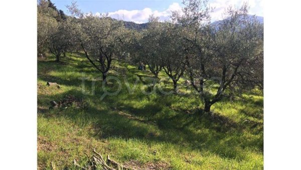 terreno agricolo in vendita a Livorno in zona Valle Benedetta