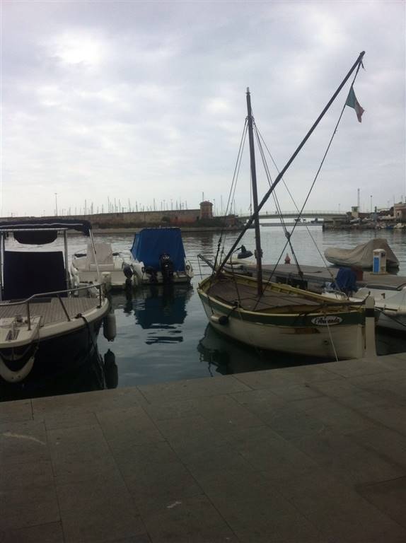 negozio in vendita a Livorno