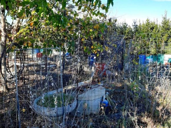 terreno agricolo in vendita a Livorno in zona Padula