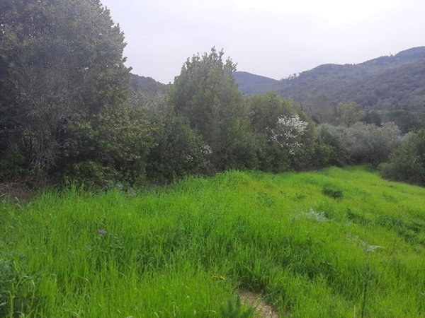 terreno agricolo in vendita a Livorno in zona Limoncino