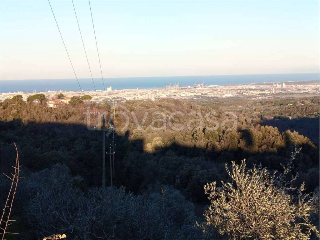 terreno agricolo in vendita a Livorno in zona Valle Benedetta