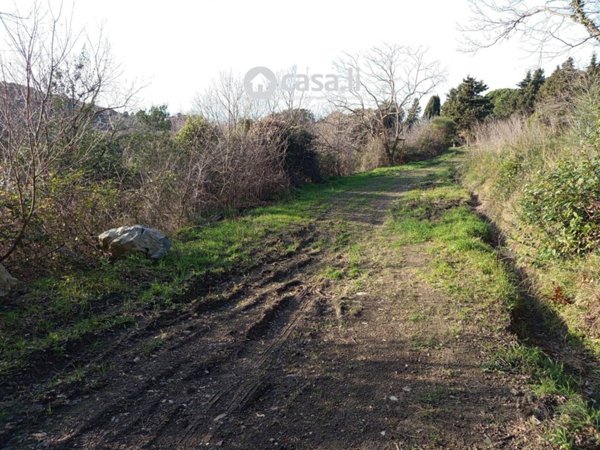 terreno agricolo in vendita a Livorno in zona Limoncino