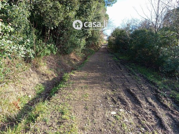 terreno agricolo in vendita a Livorno in zona Limoncino